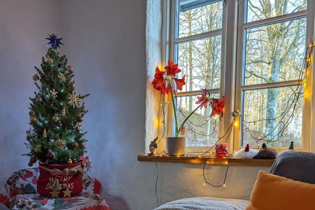 Beautiful And Cosy House Near The Lake Olofström Exteriér fotografie